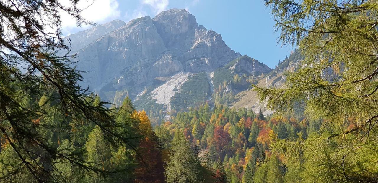 Apartamento Yellow Apartma Kranjska Gora Exterior foto